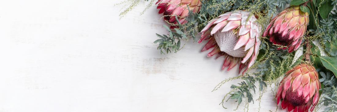 Lasting Blooms - Why you should choose these 6 flowers!