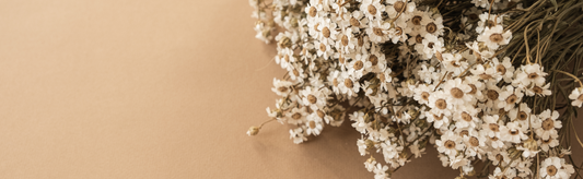 7 Reasons Why Dried Florals Could Be the Perfect Addition To Your Shop This Autumn