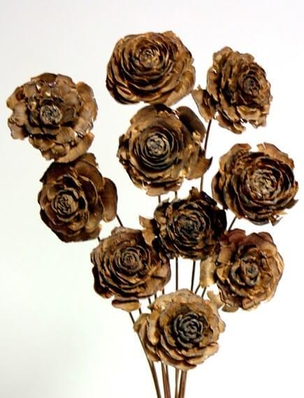 Cedar Rose