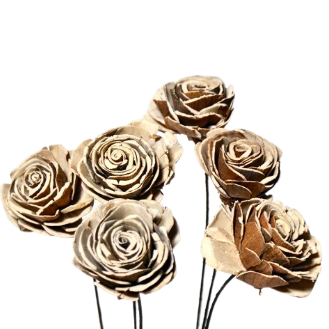 Sola Roses Small
