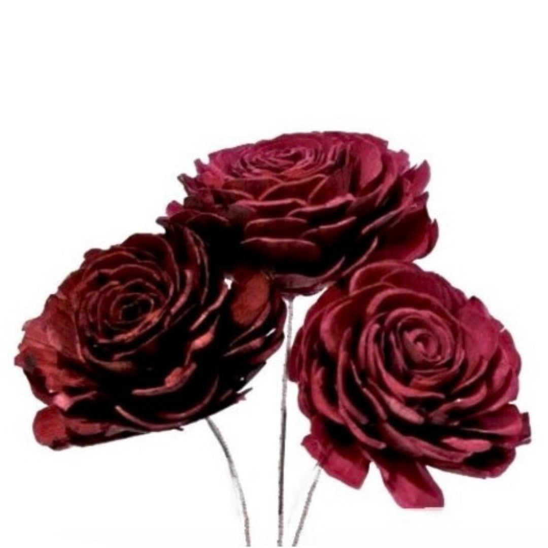 Sola Roses Large