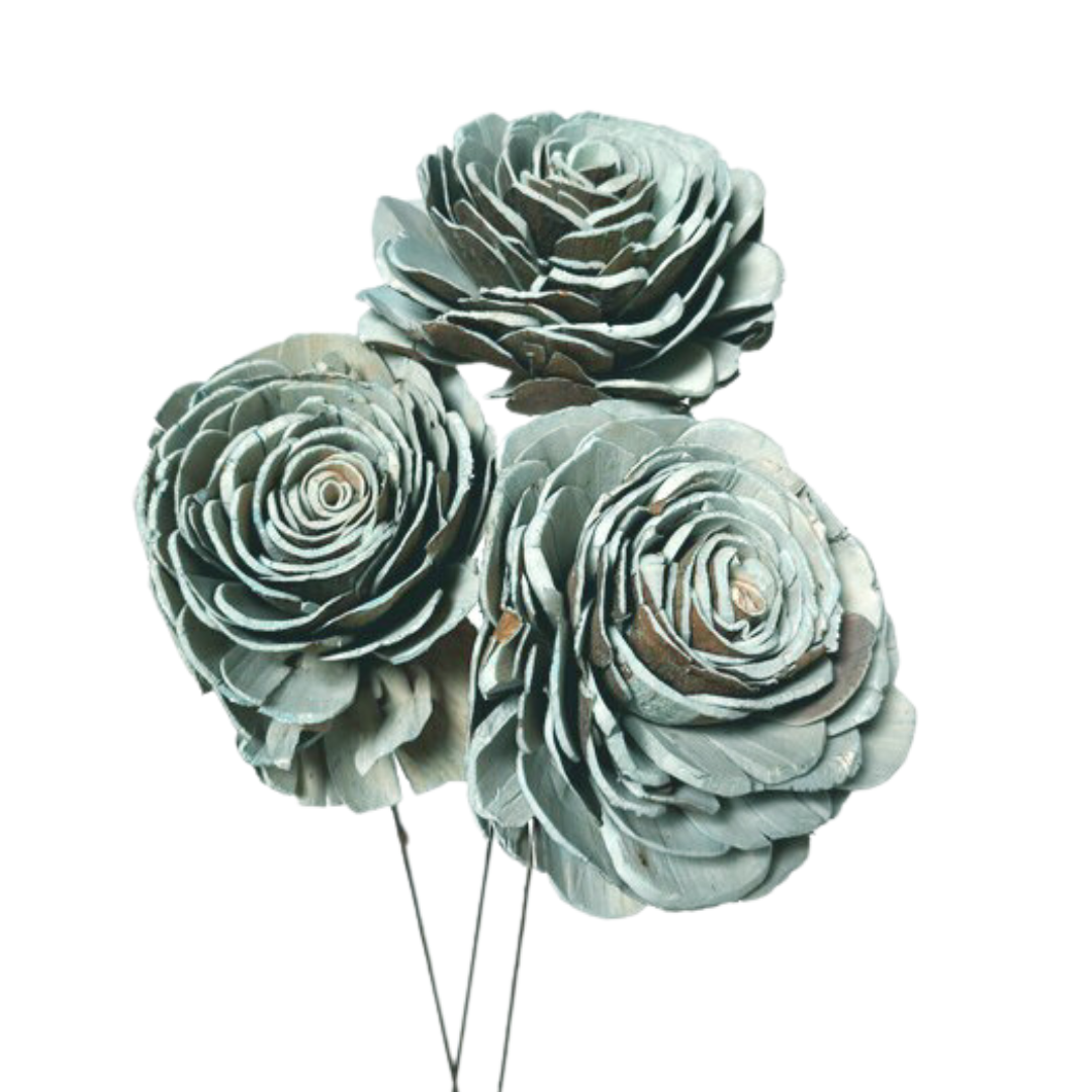 Sola Roses Large