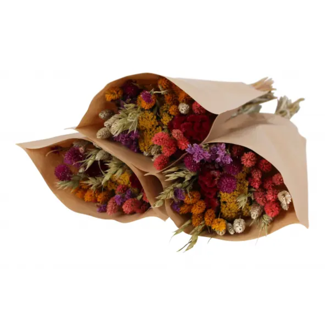 Field & Flora - Sweet Blooms Dried Flowers