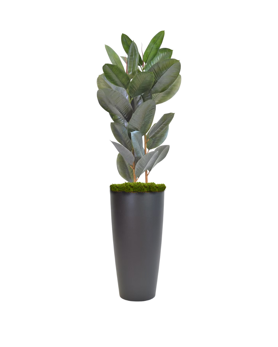 Faux Rubber Tree 44"