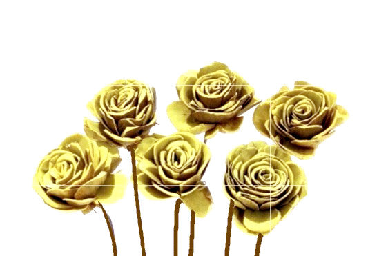 Sola Roses Small