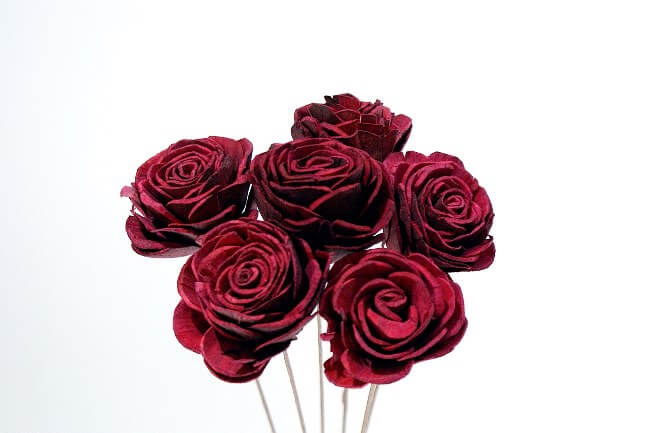 Sola Roses Small