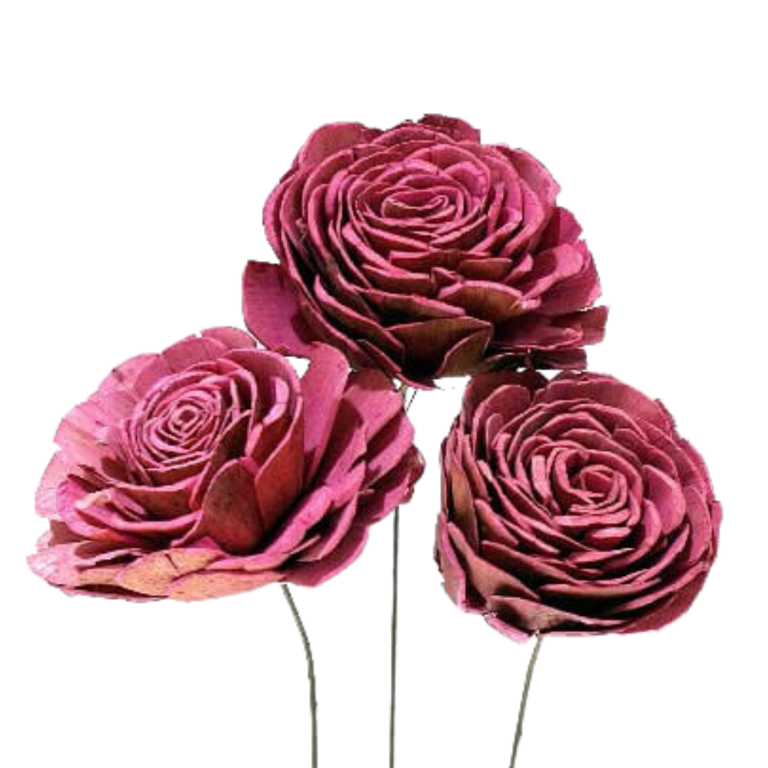 Sola Roses Large