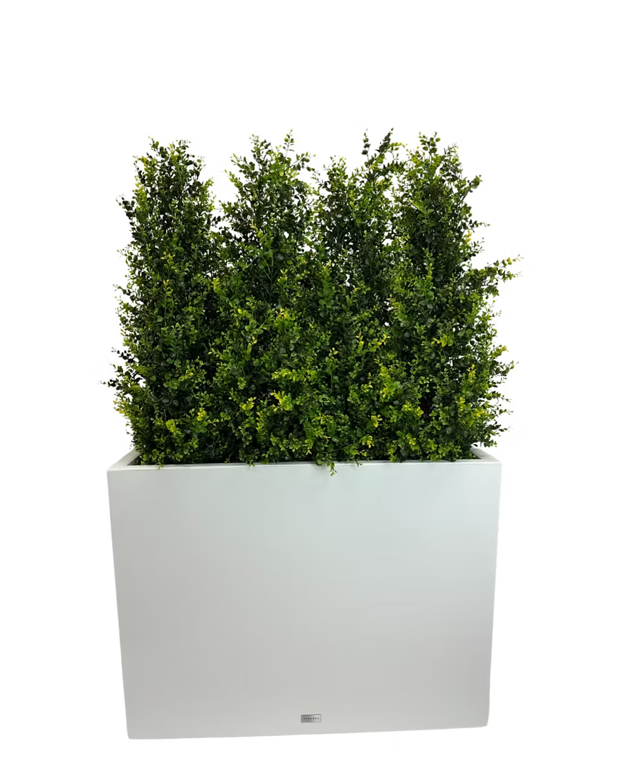 Boxwood tree planter (Faux)