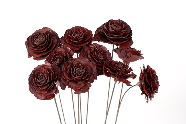 Cedar Rose