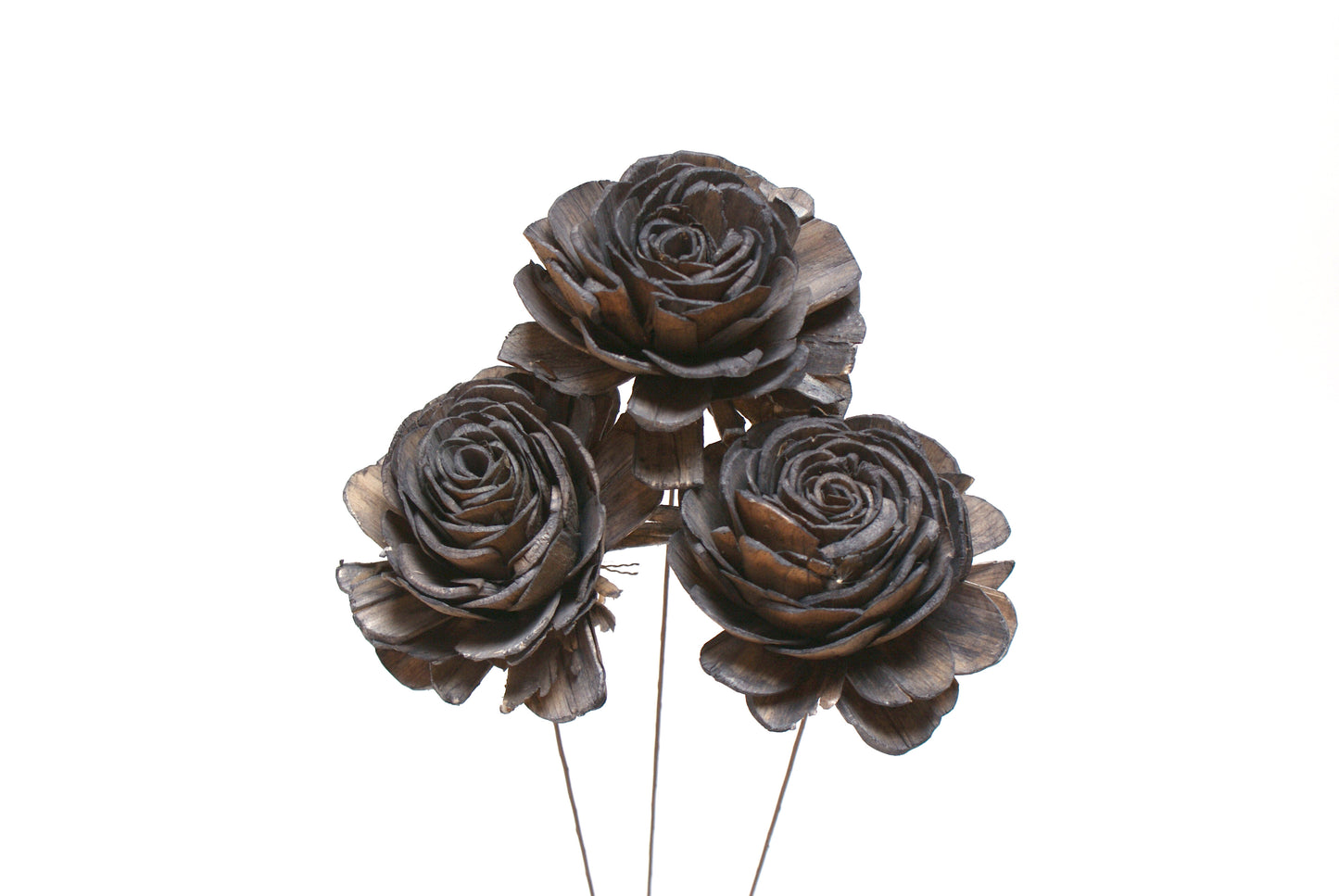 Sola Roses Large