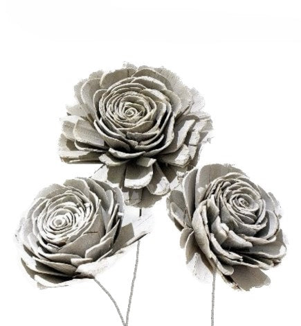 Sola Roses Large