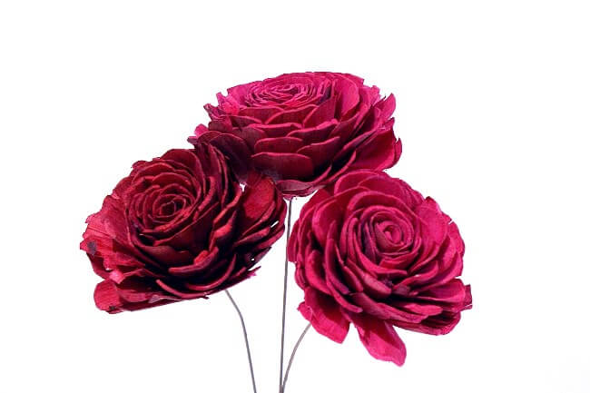 Sola Rose Large