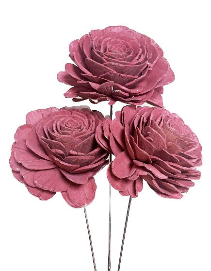 Sola Roses Large