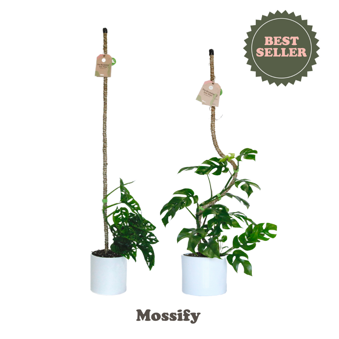 The Original Bendable Coir Pole⢠- Best Seller (Tape Included)
