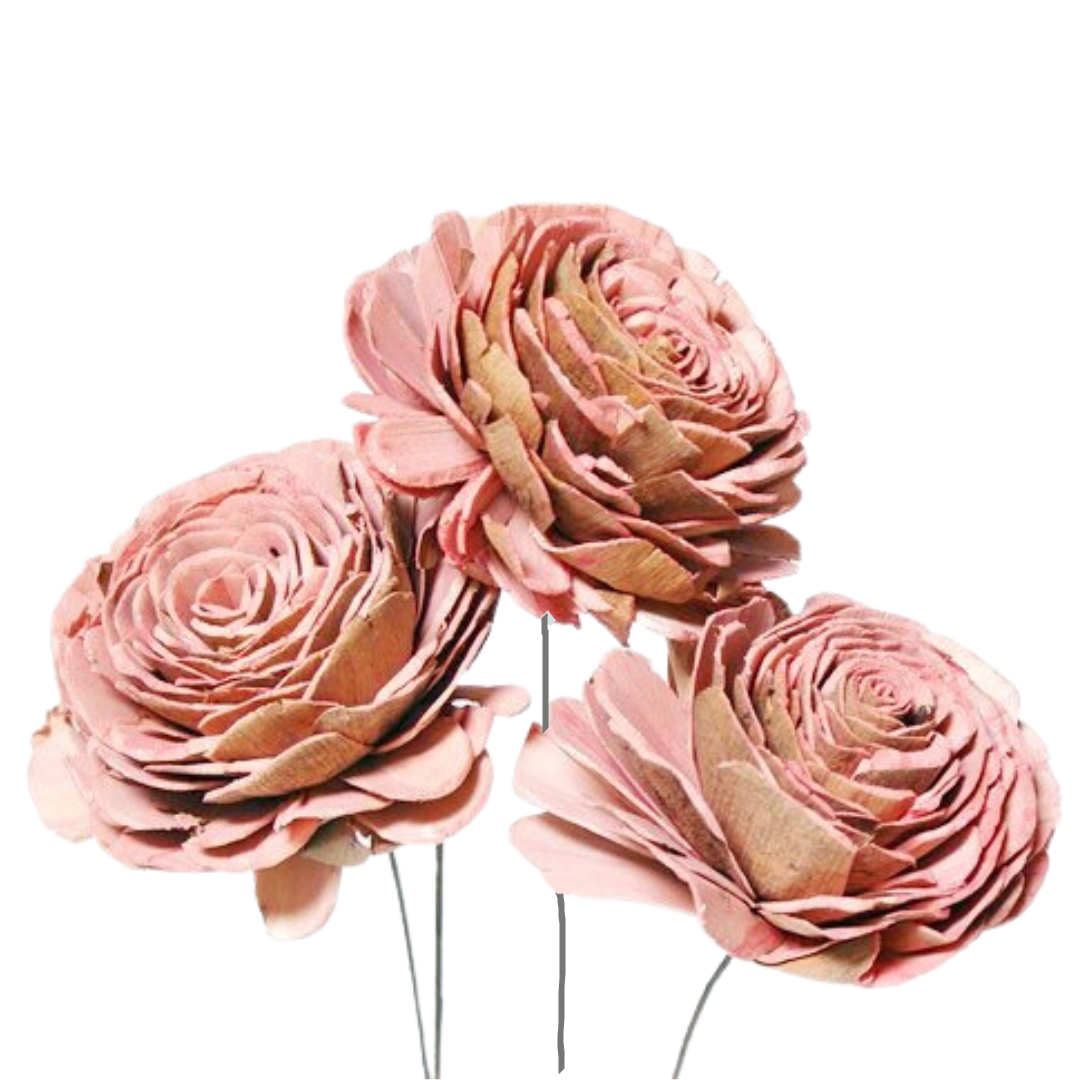 Sola Rose Large