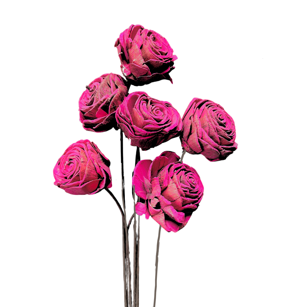 Sola Roses Small