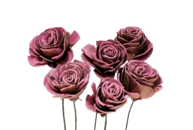 Sola Roses Small