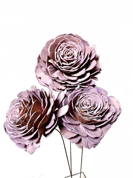 Sola Roses Large
