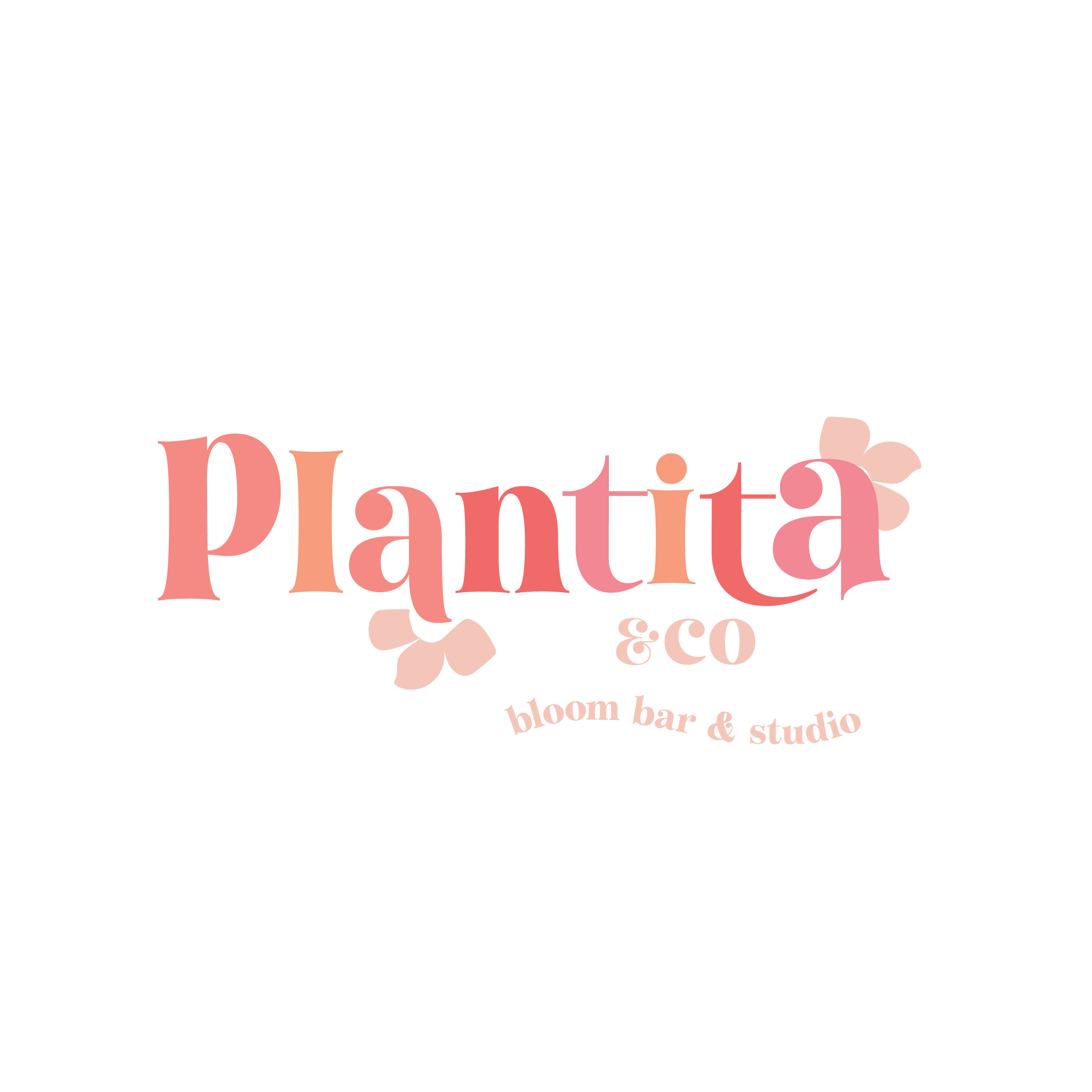 Plantita & Co. Bloom Bar & Studio