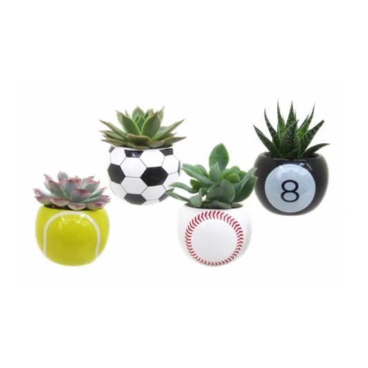 The Sports Bar - Sports Inspired Plant Activation