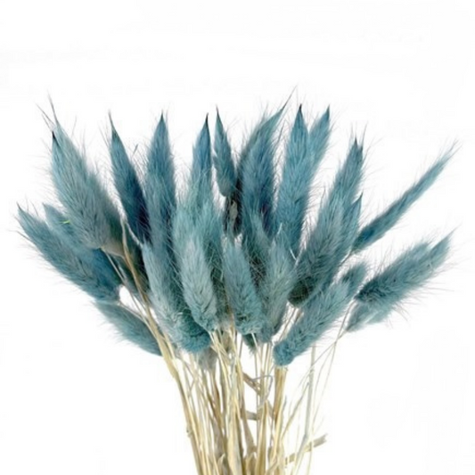 Bunnytails Blue Teal