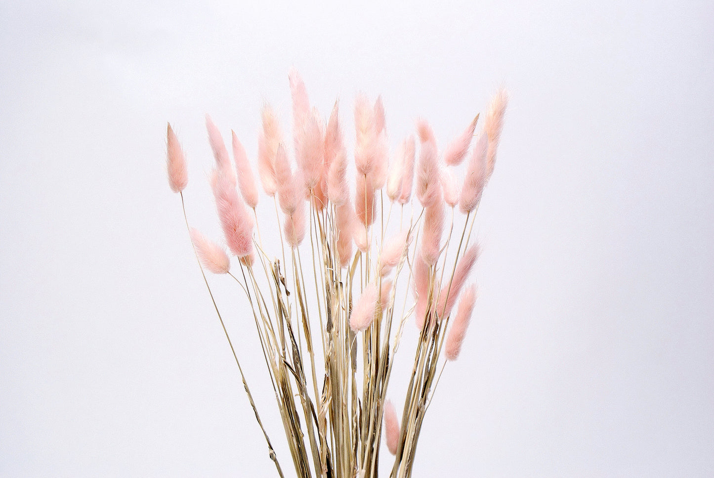 Bunnytails - Pink