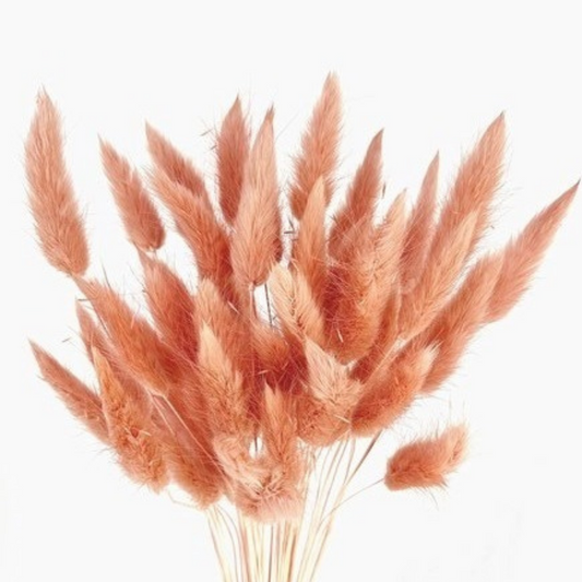 Bunnytails Peachy Rose