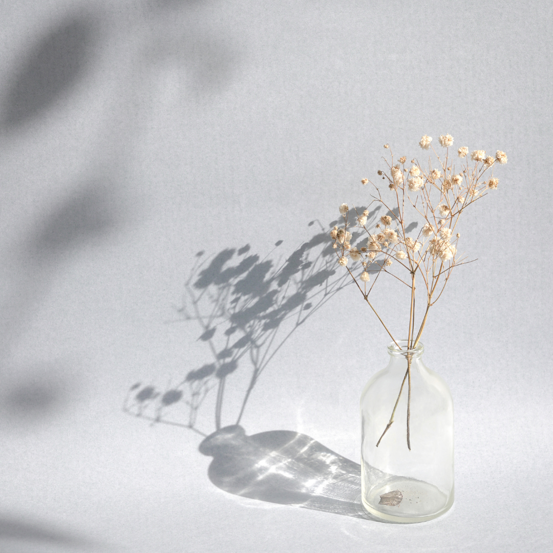 Dried Baby's Breath Bunch