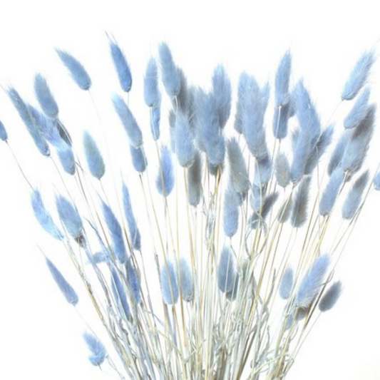 Bunnytails Blue