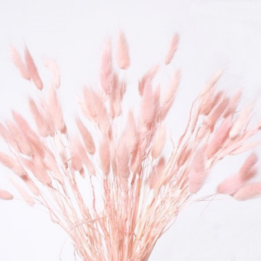Bunnytails - Pink