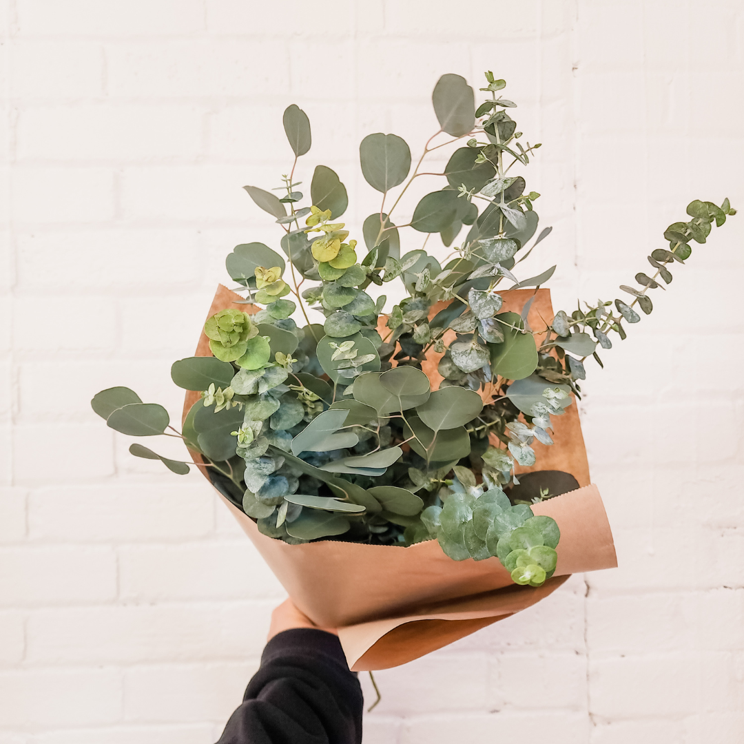 Mixed Eucalyptus Bundle