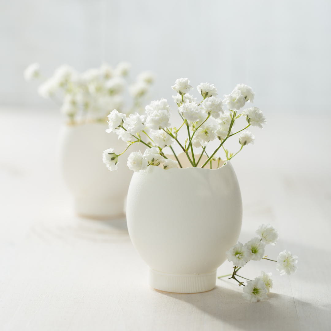 Dried Baby's Breath Bunch