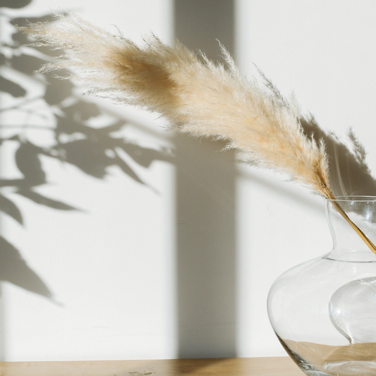 Pampas Grass Cream - 3 Stems