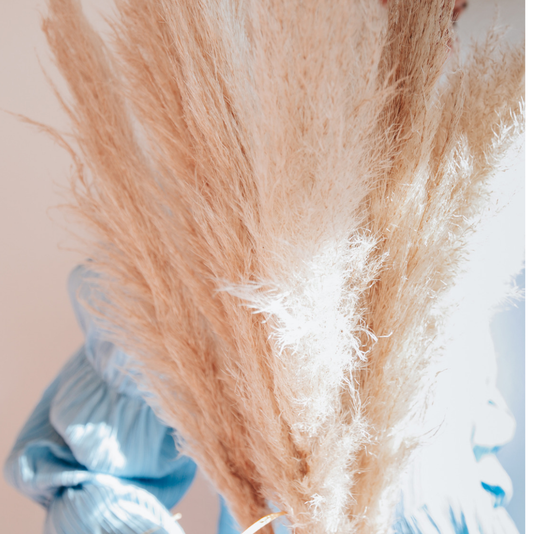 Pampas Grass Cream - 3 Stems