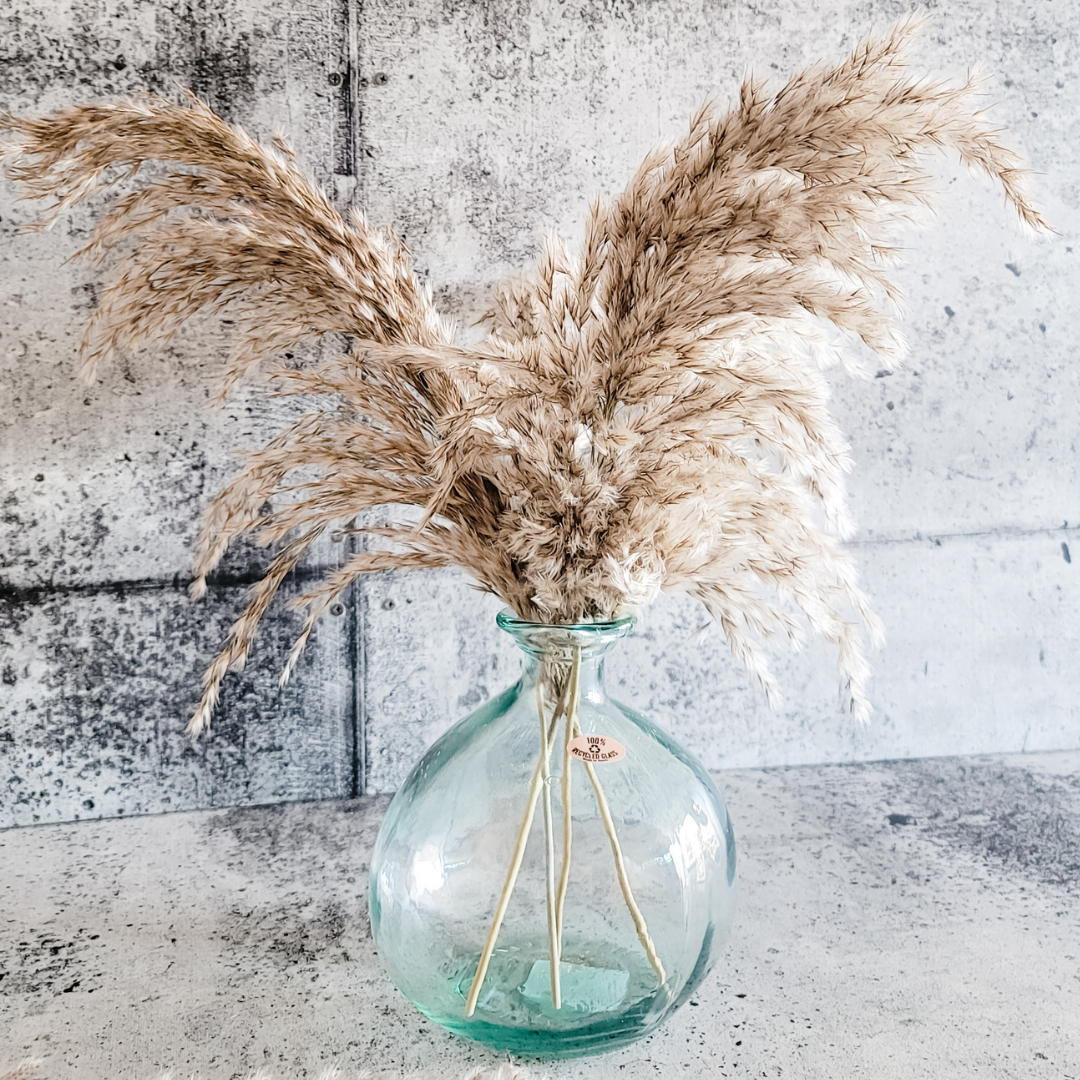Natural Pampas Grass - 4 Stems