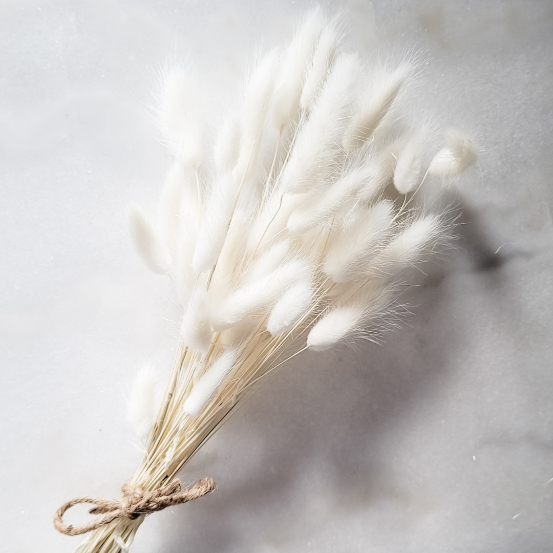 Bunnytails - White