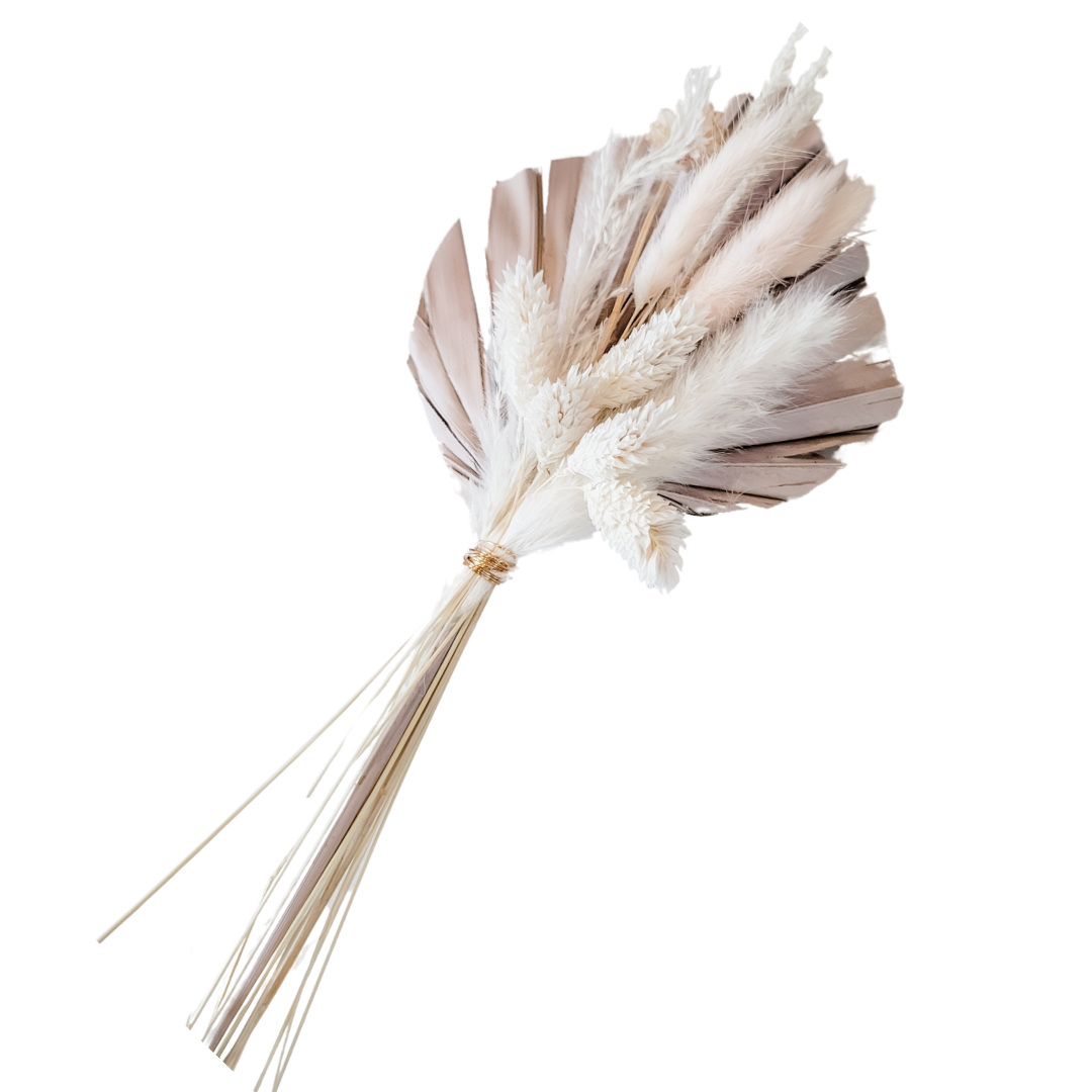 Blush Petite Palm Bundle