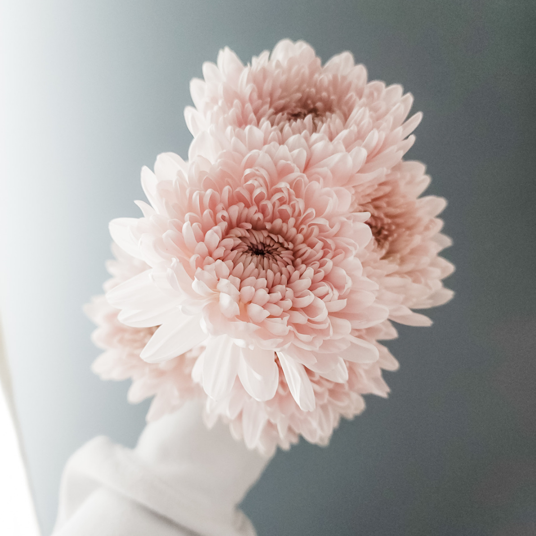 Cremone 'Fairy tale' Bunch