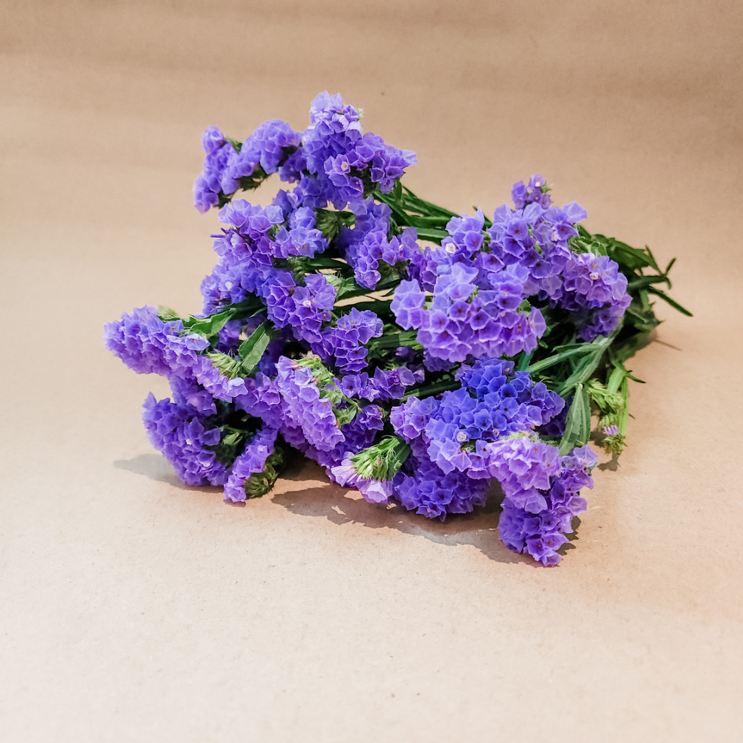 Statice Flower Purple