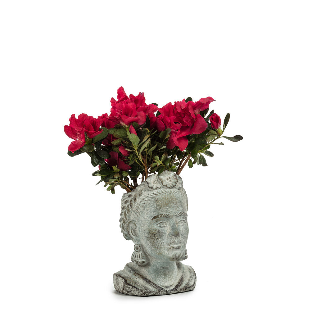 Frida Planter Petite