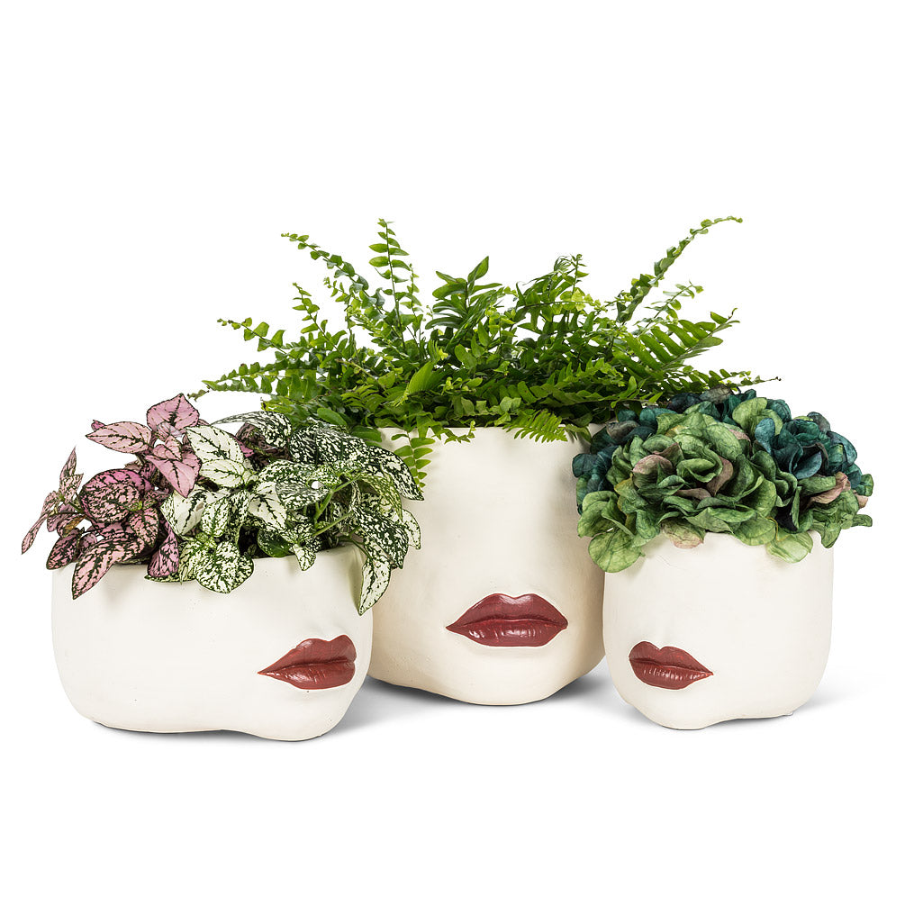 The Suzana Planter L