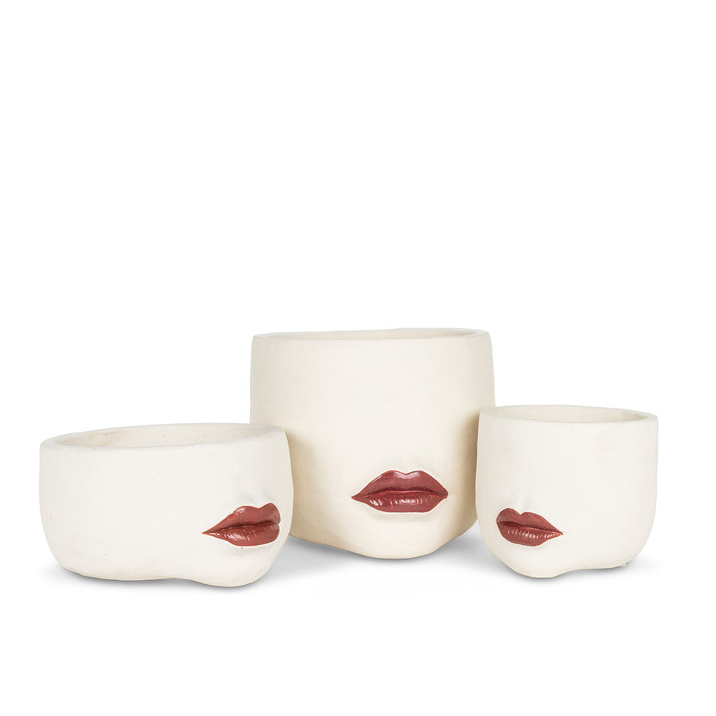 The Suzana Planter L