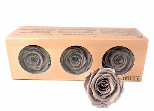 Preserved Everlasting Roses