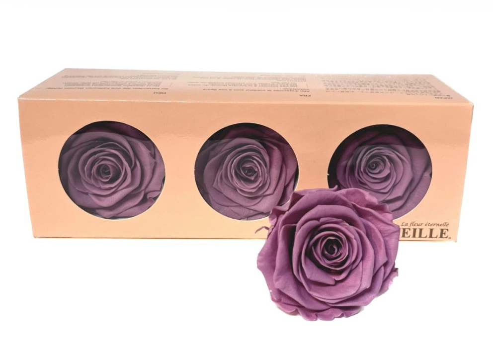 Preserved Everlasting Roses