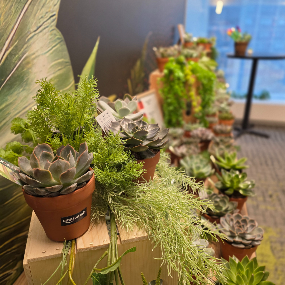 Succulent Bar
