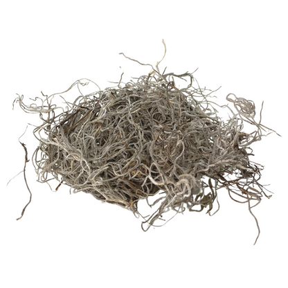 Premium Spanish Moss