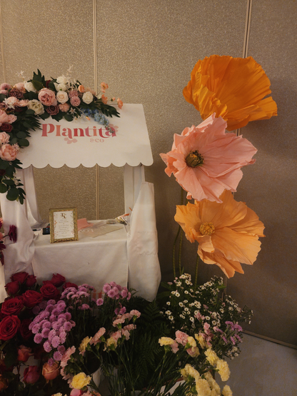 Life Size Flowers - Colourful Poppy!