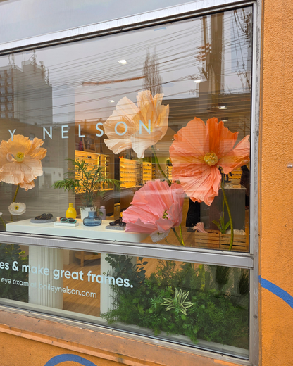 Retail Window Displays