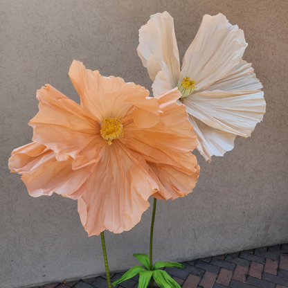 Life Size Flowers - Colourful Poppy!