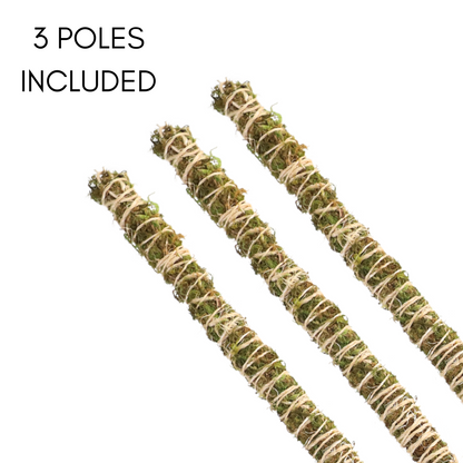 The Bendable Moss Pole™ 𝘛𝘏𝘐𝘕